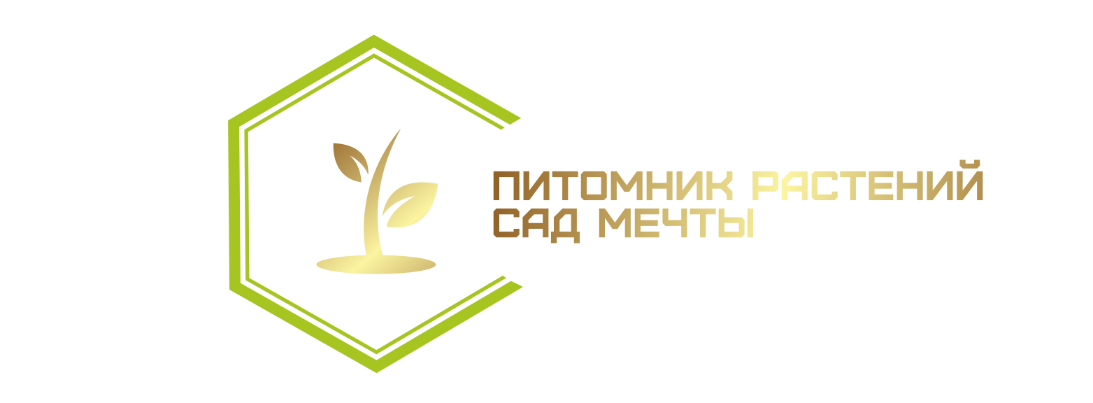 Сад мечты
